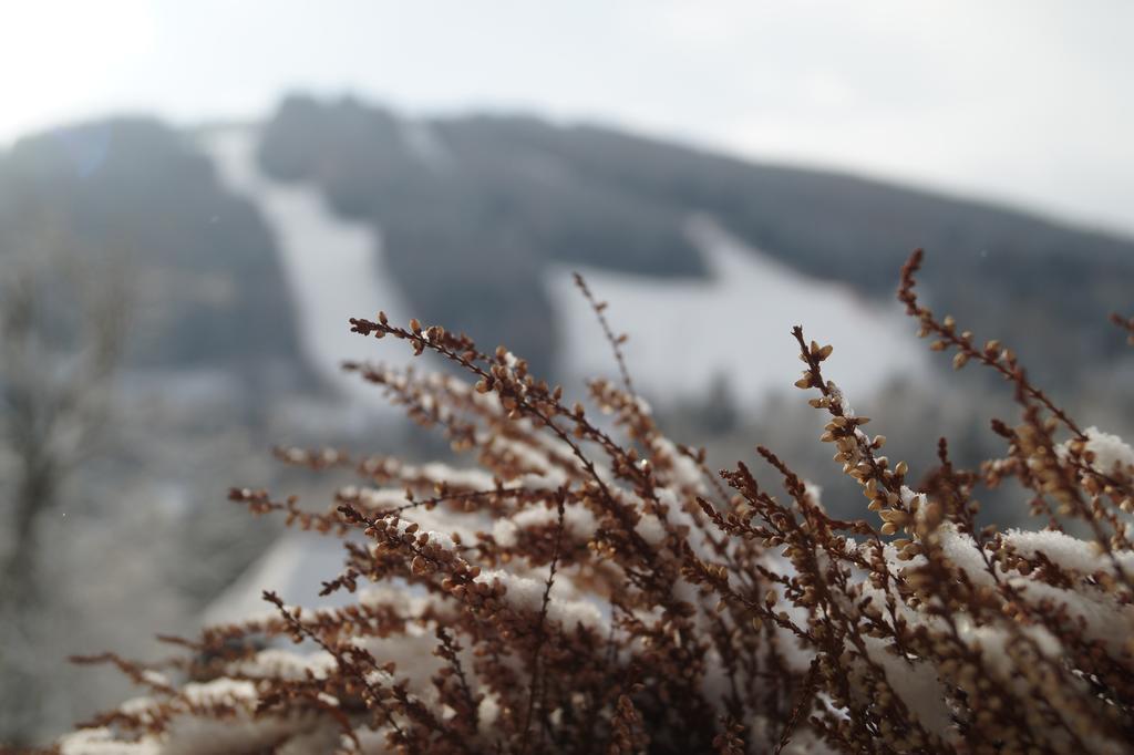 Belvedere Semmering Eksteriør bilde